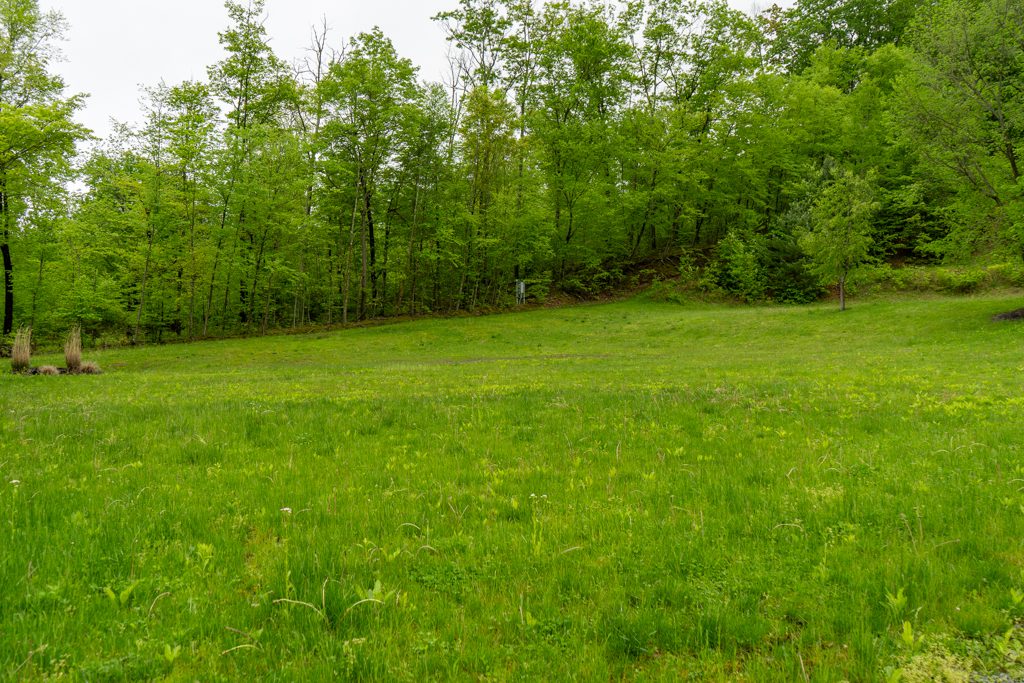 Land for Lease